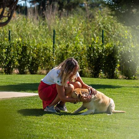 Riva Toscana Golf Resort & Spa فولّونيكا المظهر الخارجي الصورة
