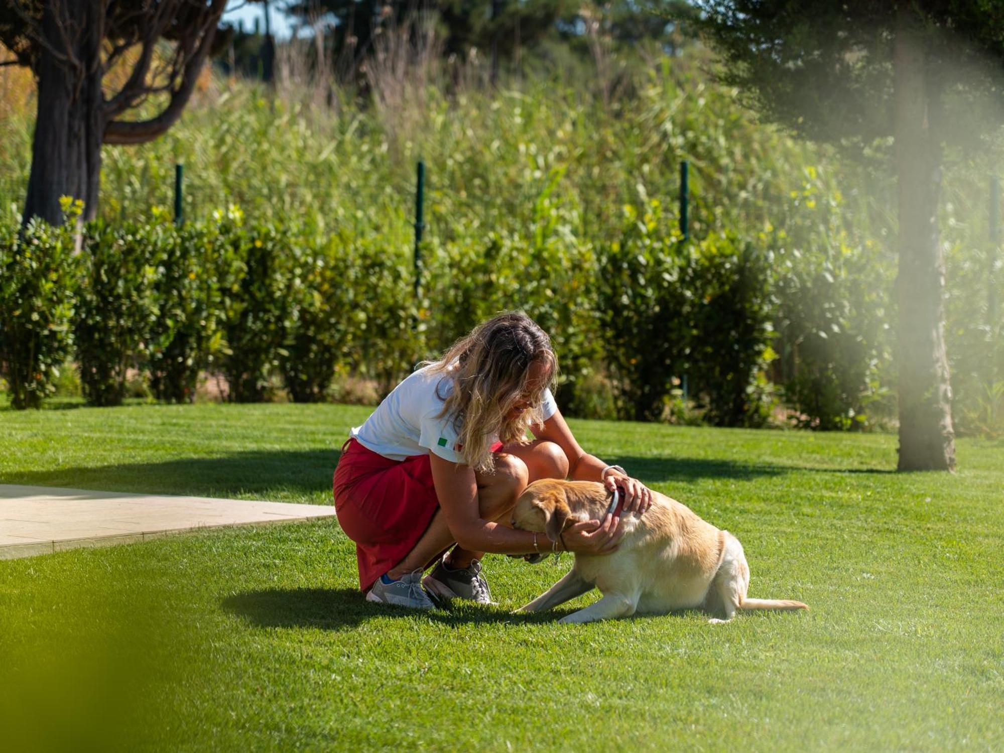 Riva Toscana Golf Resort & Spa فولّونيكا المظهر الخارجي الصورة